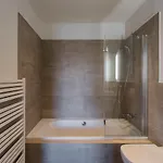 Homaris Kreuzberg 61 柏林