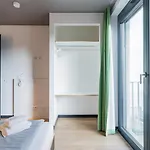 Homaris Kreuzberg 61