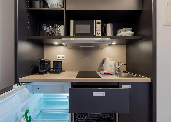 Homaris Kreuzberg 61