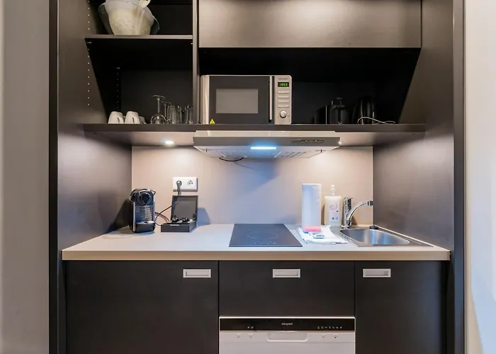 Homaris Kreuzberg 61 Берлин