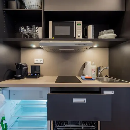 Homaris Kreuzberg 61