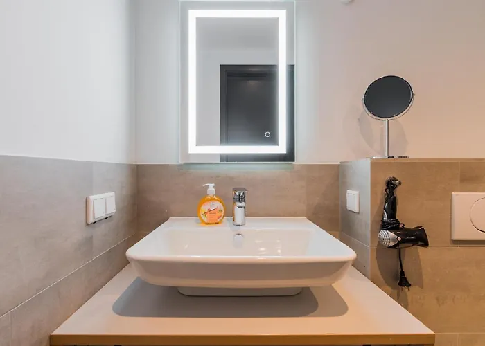 Homaris Kreuzberg 61